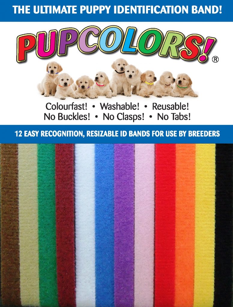 PupColor Collar
