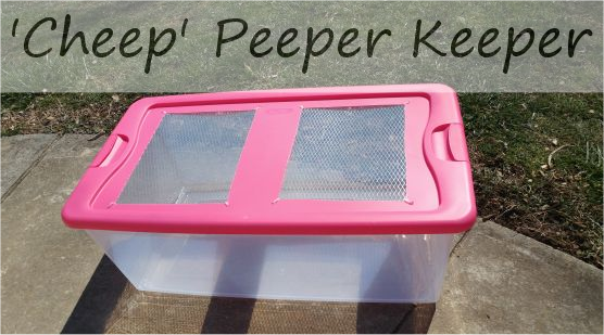 cheep peeper keeper