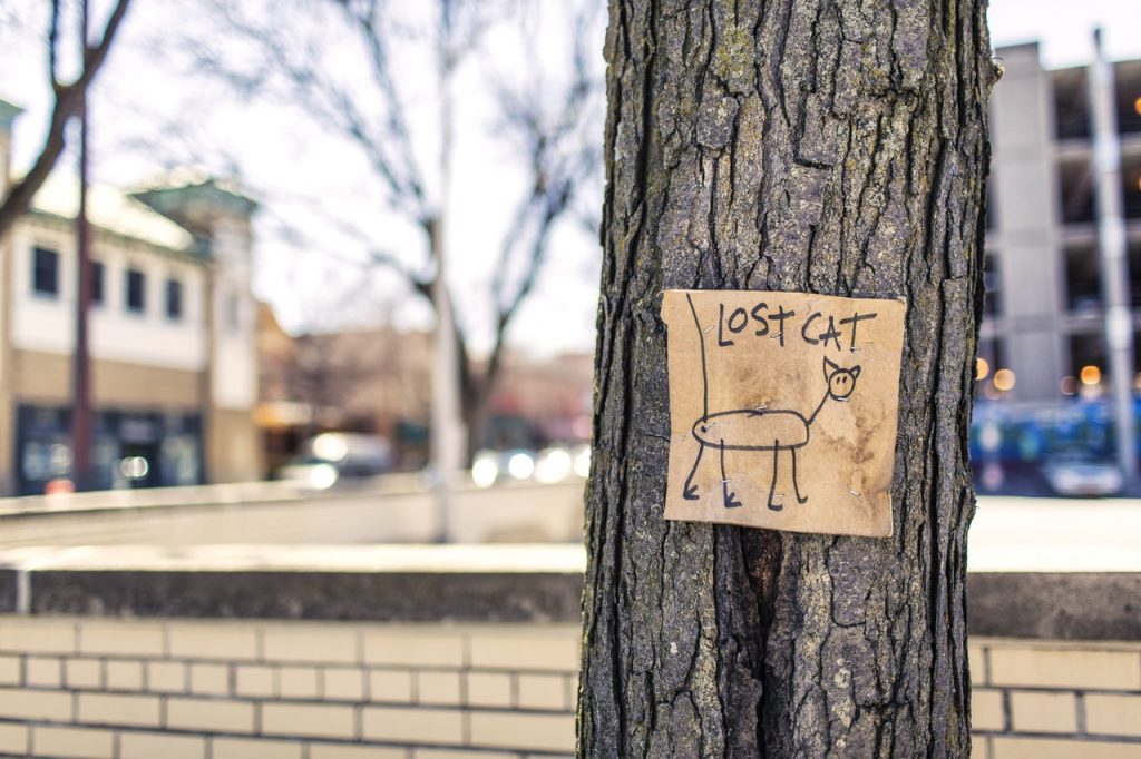 lost-cat-tree-sign